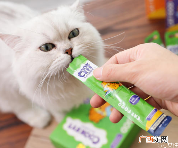 猫零食怎么做自制猫咪小鱼干