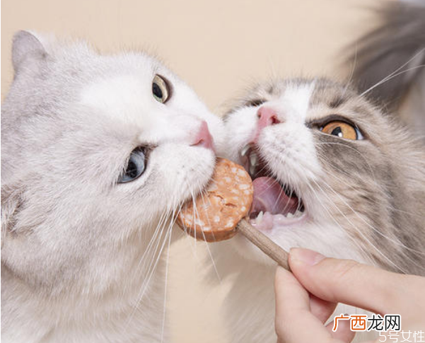 猫零食怎么做自制猫咪小鱼干