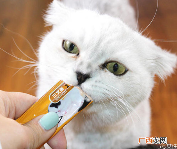 猫零食哪个牌子好猫零食推荐