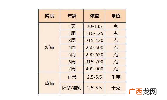 3个月小猫的正常体重猫咪体重年龄对照表