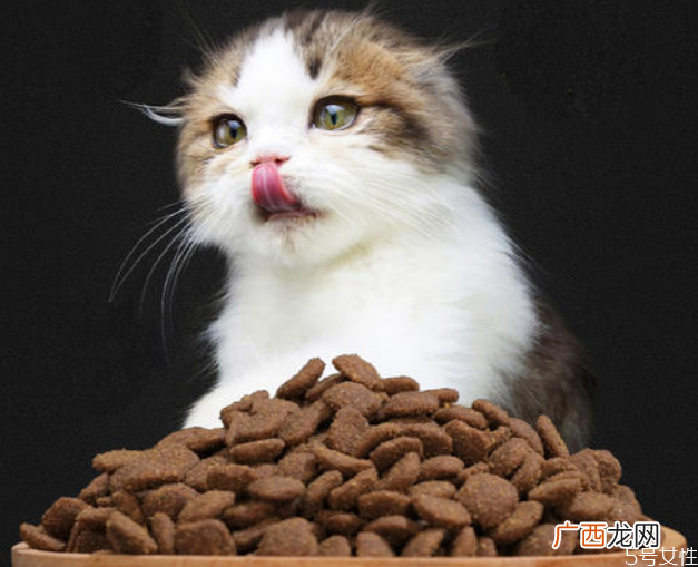 幼猫粮要吃到几个月全期猫粮适合多大猫吃