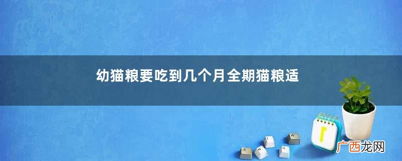 幼猫粮要吃到几个月全期猫粮适合多大猫吃