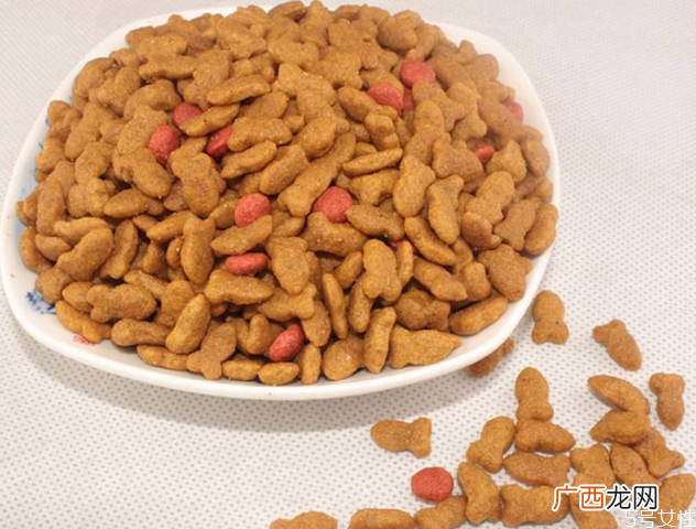 猫咪不吃猫粮怎么办猫会挑食把自己饿死吗