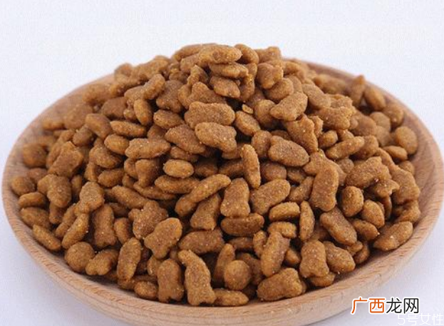 全猫粮是什么意思全期猫粮和幼猫粮的区别