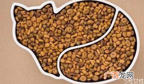 怎么选择猫粮选猫粮怎么看配方