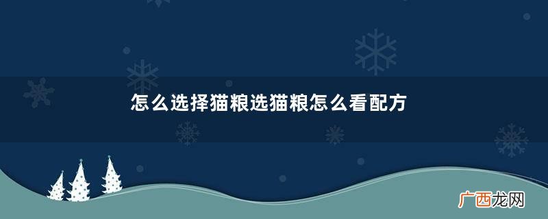 怎么选择猫粮选猫粮怎么看配方