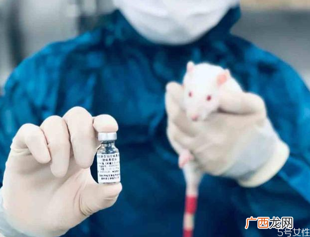 接种新冠疫苗安全吗新冠疫苗接种禁忌