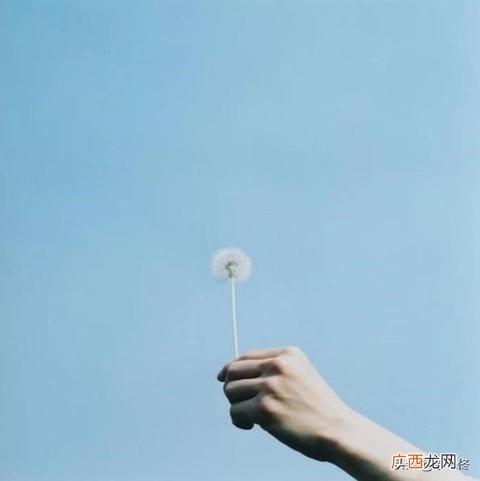 日式小清新风格的照片赶紧拍起来 小清新图片