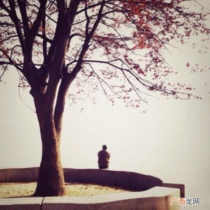 一个人寂寞伤感的句子 一个人寂寞
