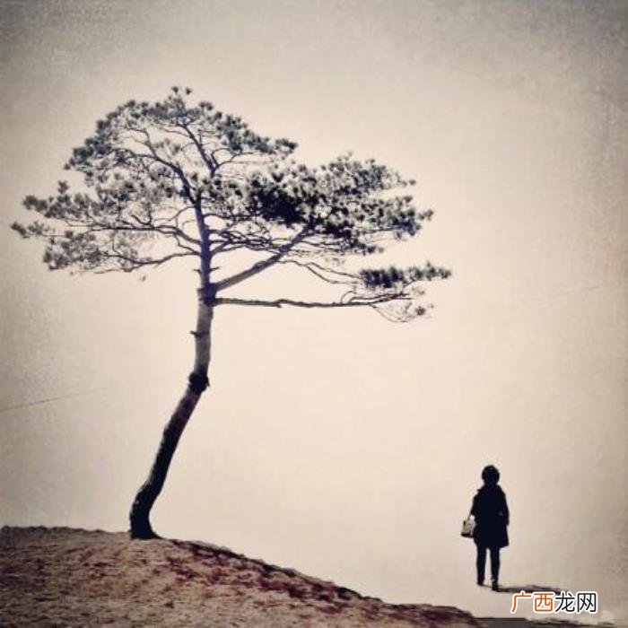 一个人寂寞伤感的句子 一个人寂寞