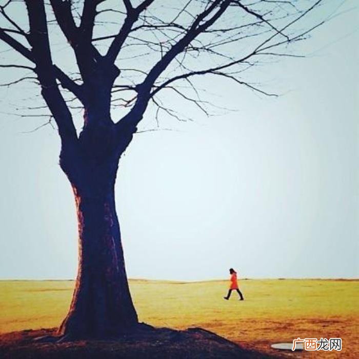 一个人寂寞伤感的句子 一个人寂寞