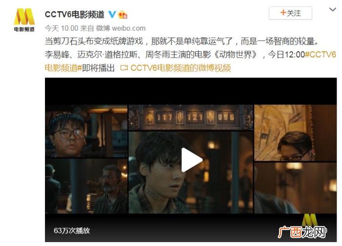 动物世界是哪个频道，动物世界