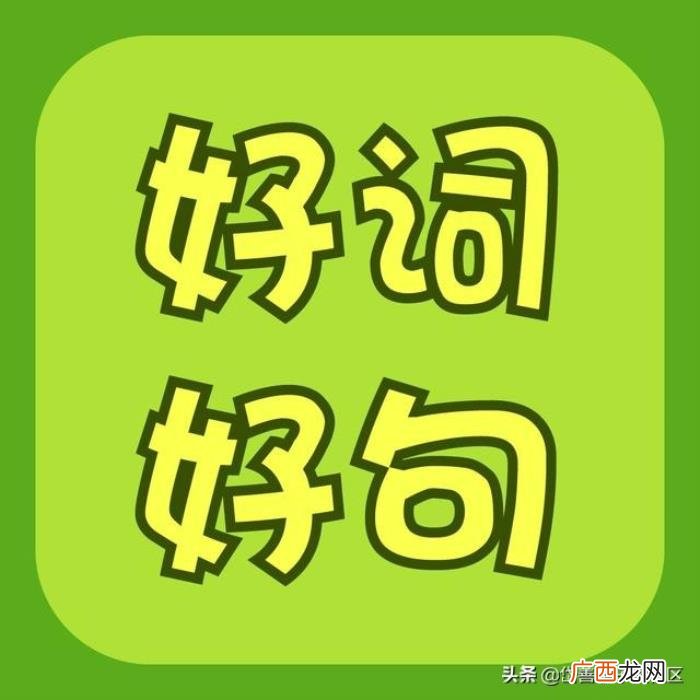 描写雨的优美句子和作文 形容下雨的句子