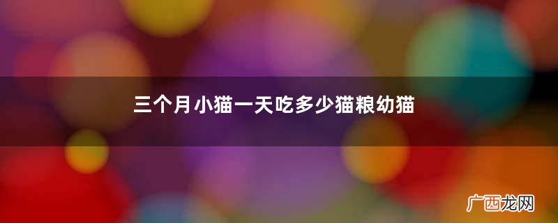 三个月小猫一天吃多少猫粮幼猫粮30g是多少粒
