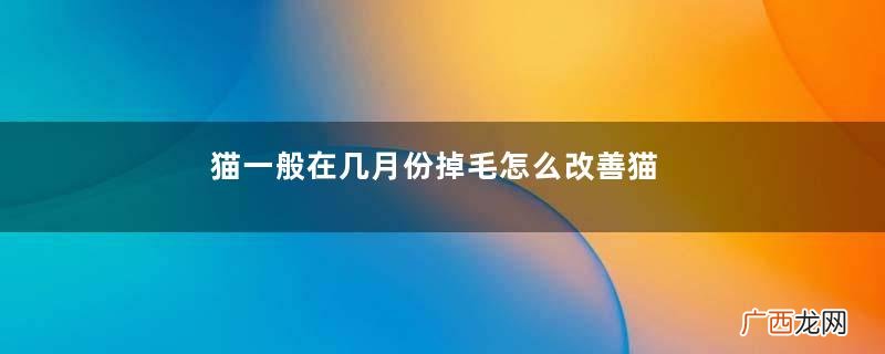 猫一般在几月份掉毛怎么改善猫咪掉毛