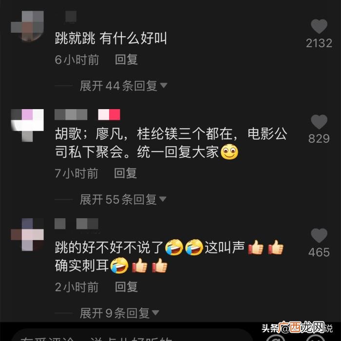 胡歌桂纶镁,胡歌桂纶镁廖凡聚会