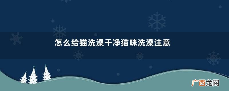 怎么给猫洗澡干净猫咪洗澡注意事项
