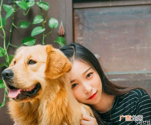 狗狗临死前为什么嚎叫狗狗临死前的表现