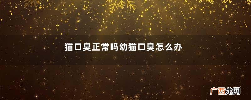 猫口臭正常吗幼猫口臭怎么办