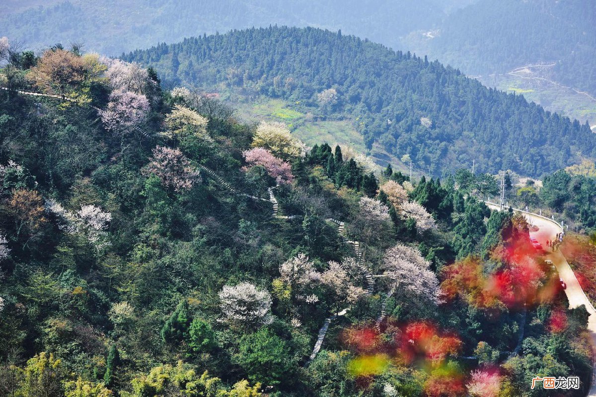 地点+路线 2022渝北云龟山赏樱花一日游攻略