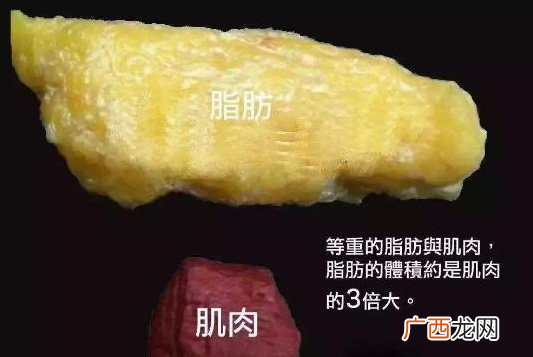 好不容易减几斤一顿饭就回去了怎么办
