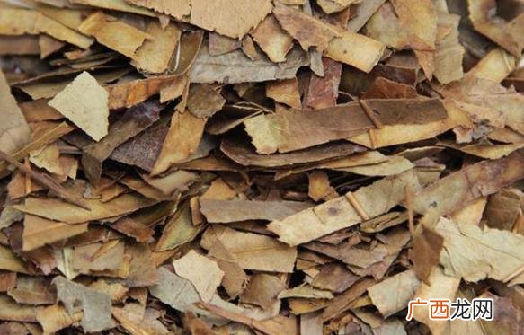 石楠叶的功效与作用石楠叶的药用价值