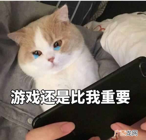 水瓶座的男生 是不是性格缺点越难越爱了