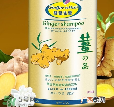 琴叶生姜洗发水好用吗？琴叶生姜洗发水真假