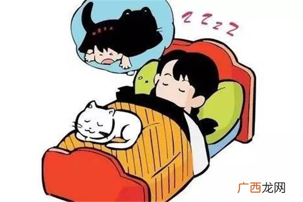 多梦但不失眠吃什么药多梦不失眠是什么原因