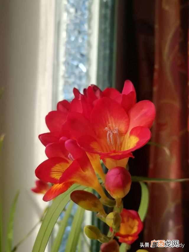 惬意的意思,顺其自然才是最好的尊重