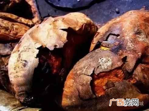 什么叫白薯,简单说说烤白薯