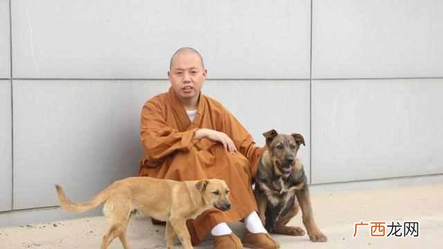 且行且珍惜什么意思,且行且珍惜