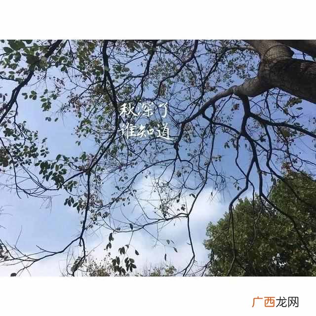 喜出望外的意思,喜出望外的本意是什么
