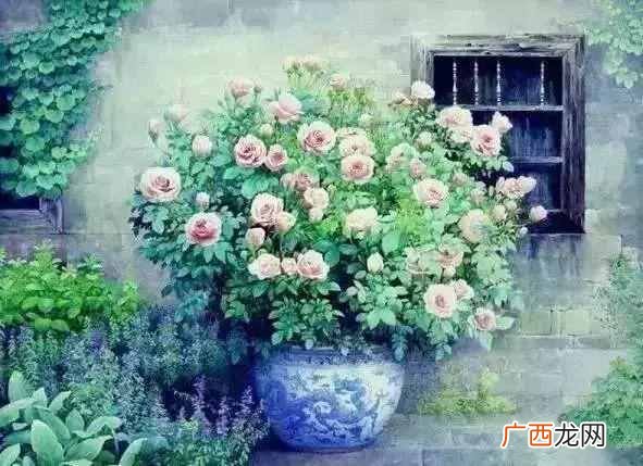 时光荏苒是什么意思啊，时光荏苒的句子唯美