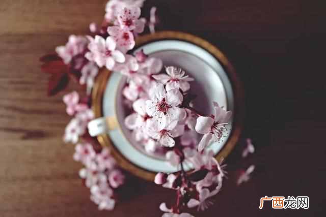时光荏苒是什么意思啊，时光荏苒的句子唯美