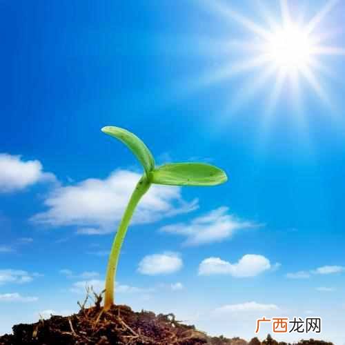 桎梏是什么,桎梏是啥意思