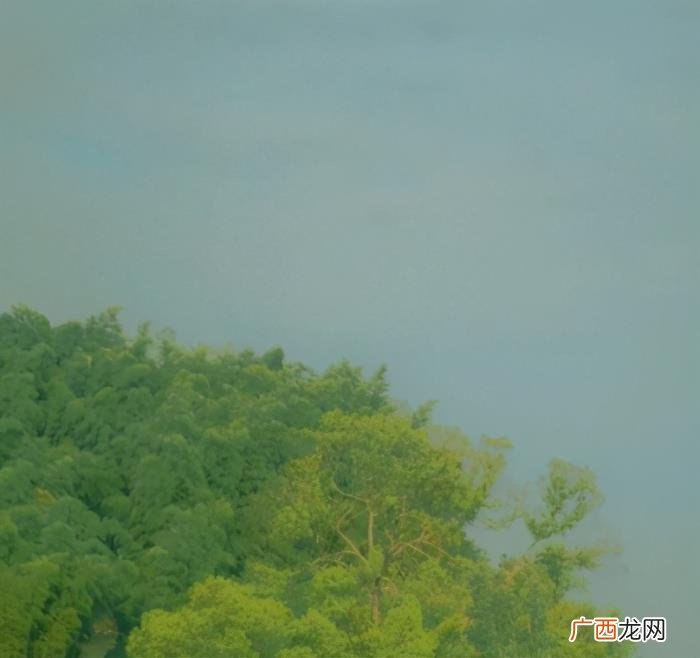 恭喜当爸爸的语句，第一次当爸爸的心情短语
