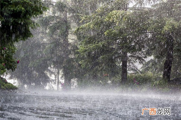 河南省因灾遇难人数增至99人降雨量怎么检测的