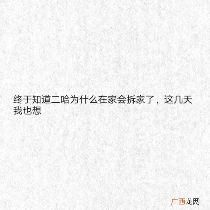 经典的自动回复语言 自动回复经典语句