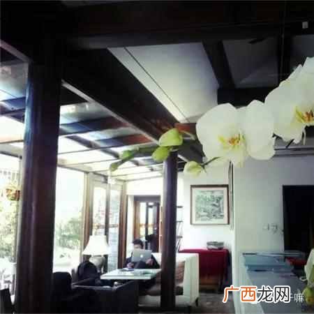 南锣鼓巷小吃十大必吃,南锣鼓巷十大特色美食