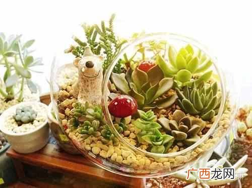 南锣鼓巷小吃十大必吃,南锣鼓巷十大特色美食