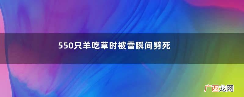 550只羊吃草时被雷瞬间劈死雷电天气注意什么