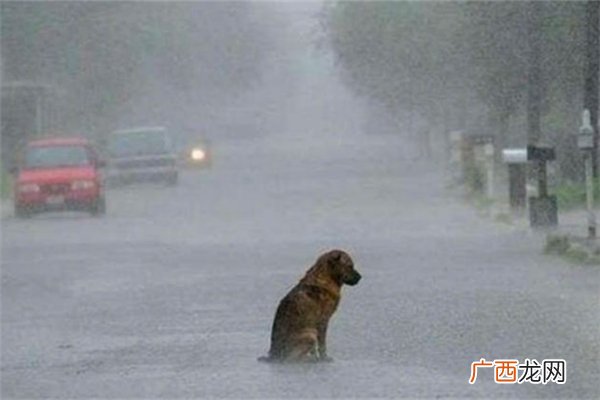 湖北暴雨后上万件包裹被淹暴雨来临如何防范