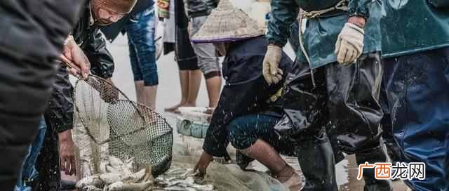 海鲜不能和什么一起吃,吃海鲜禁忌吃什么东西