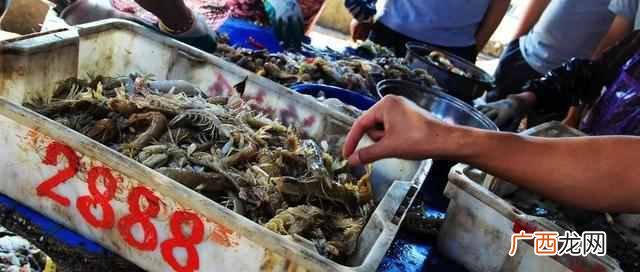海鲜不能和什么一起吃,吃海鲜禁忌吃什么东西