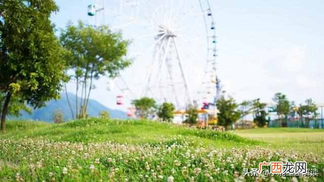 随遇而安是什么意思,三大星座含义