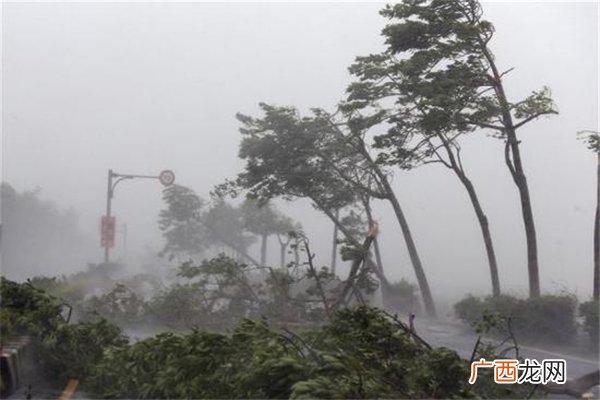 台风卢碧登陆广东台风是多少级