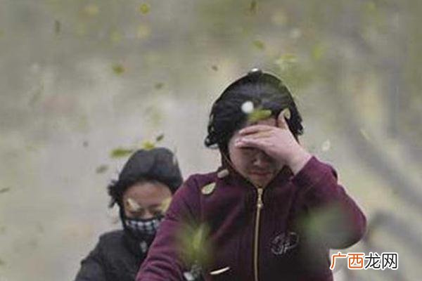 邯郸突发大风大风天气安全防范措施