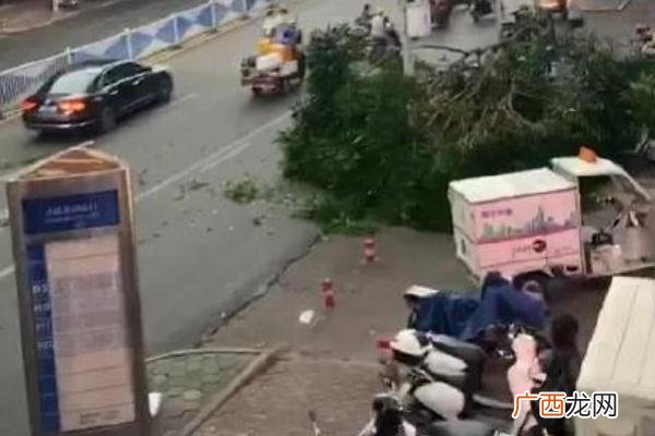 超强阵风突袭南宁阵风7-8级什么概念