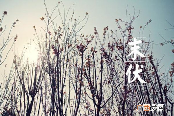 全国末伏热力地图出炉末伏天还热吗